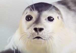 Seal